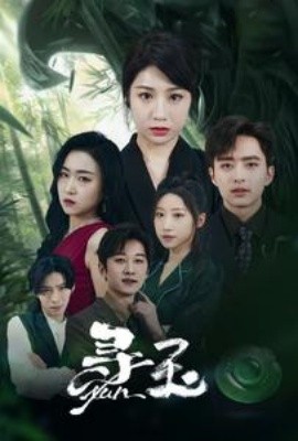 寻玉 (2024)|雷宸资源库