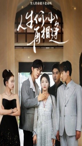 人生何必再相逢 (2024) - 雷宸资源库|雷宸资源库