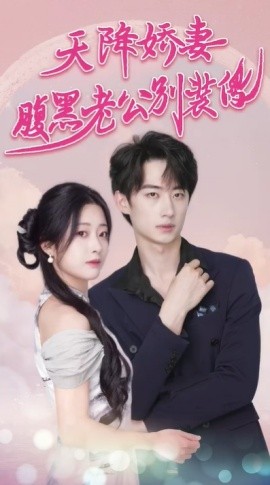 天降娇妻腹黑老公别装傻 (2024) - 雷宸资源库|雷宸资源库