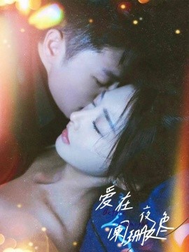 爱在夜色阑珊处 (2024)|雷宸资源库