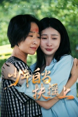 少年自当扶摇上 (2024) - 雷宸资源库|雷宸资源库