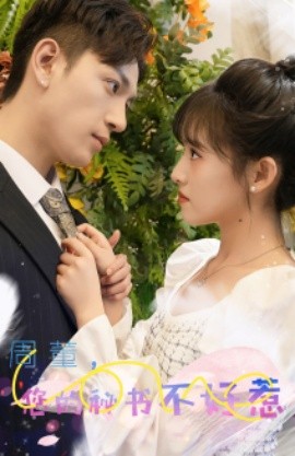 周董，你的秘书不好惹 (2024) - 雷宸资源库|雷宸资源库