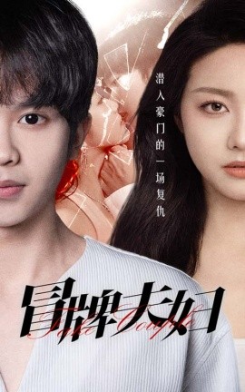 冒牌夫妇 (2024) - 雷宸资源库|雷宸资源库