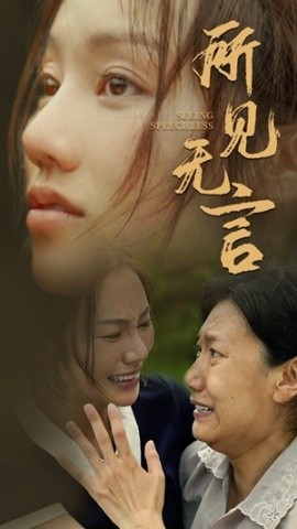 所见无言 (2024) - 雷宸资源库|雷宸资源库
