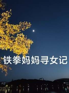 铁拳妈妈寻女记 (2024) - 雷宸资源库|雷宸资源库