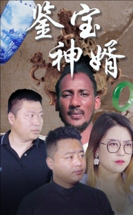 鉴宝神婿 (2024)|雷宸资源库