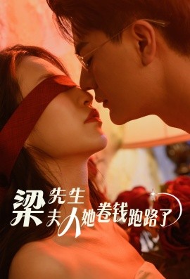 梁先生夫人她卷钱跑路了 (2024) - 雷宸资源库|雷宸资源库