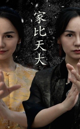 家比天大 (2024) - 雷宸资源库|雷宸资源库