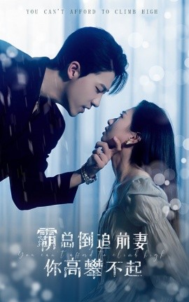 霸总倒追前妻你高攀不起 (2024) - 雷宸资源库|雷宸资源库