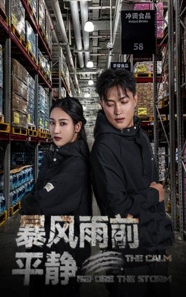 暴风雨前的平静 (2024) - 雷宸资源库|雷宸资源库
