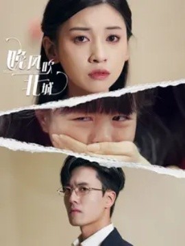 晚风吹北城 (2024) - 雷宸资源库|雷宸资源库