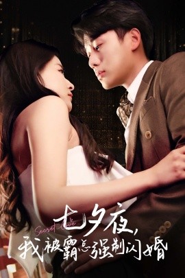 七夕夜，我被霸总强制闪婚 (2024) - 雷宸资源库|雷宸资源库