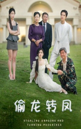 偷龙转凤 (2024) - 雷宸资源库|雷宸资源库