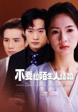 不要和陌生人结婚 (2024) - 雷宸资源库|雷宸资源库