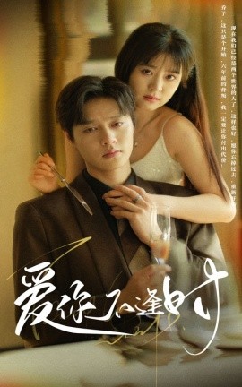 爱你不逢时 (2024) - 雷宸资源库|雷宸资源库