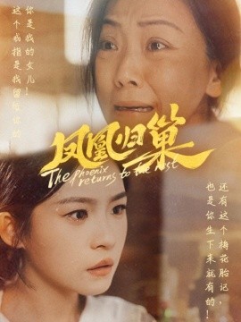 凤凰归巢 (2024) - 雷宸资源库|雷宸资源库