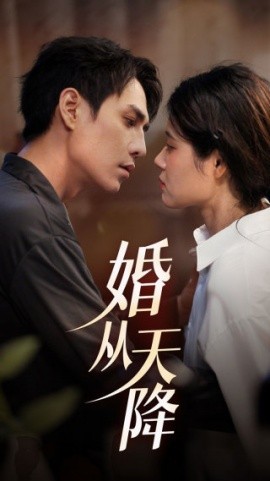婚从天降 (2024) - 雷宸资源库|雷宸资源库