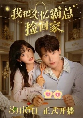 我把失忆霸总捡回家 (2024) - 雷宸资源库|雷宸资源库