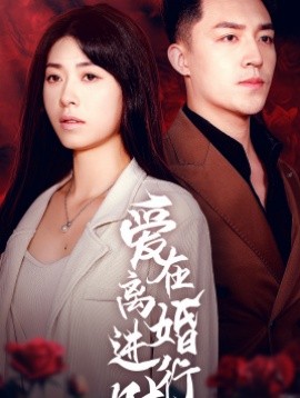 爱在离婚进行时 (2024) - 雷宸资源库|雷宸资源库