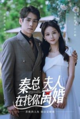 秦总夫人在找你离婚 (2024)|雷宸资源库