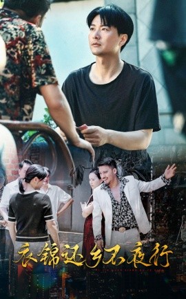 衣锦还乡不夜行 (2024) - 雷宸资源库|雷宸资源库