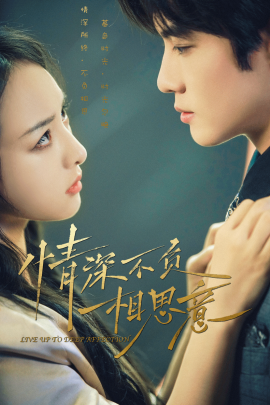 情深不负相思意 (2024) - 雷宸资源库|雷宸资源库