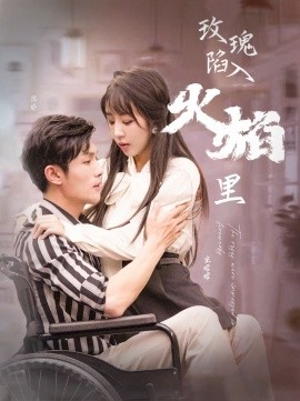 玫瑰陷入火焰里 (2024)|雷宸资源库