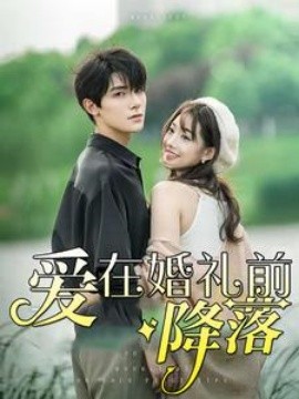 爱在婚礼前降落 (2024) - 雷宸资源库|雷宸资源库