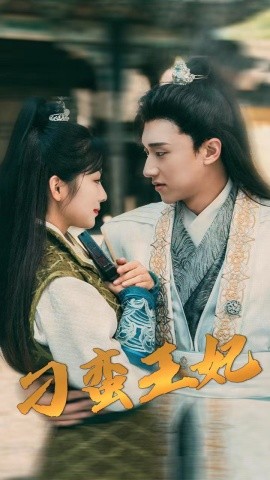 刁蛮王妃 (2024)|雷宸资源库