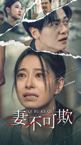 妻不可欺 (2024)|雷宸资源库