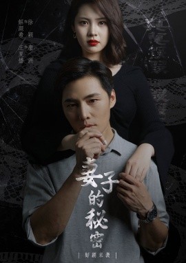 妻子的秘密 (2024)|雷宸资源库