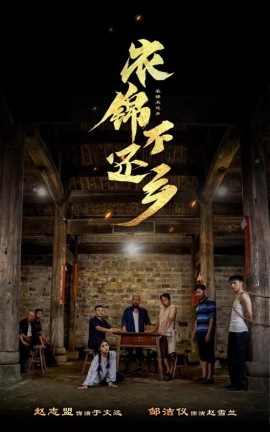 衣锦不还乡 (2024) - 雷宸资源库|雷宸资源库