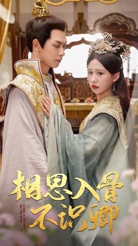 相思入骨不识卿 (2024)|雷宸资源库