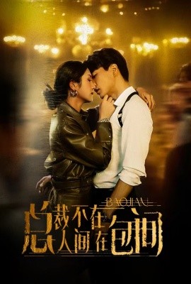 总裁不在人间在包间 (2024) - 雷宸资源库|雷宸资源库