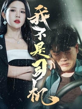 我不是司机 (2024) - 雷宸资源库|雷宸资源库