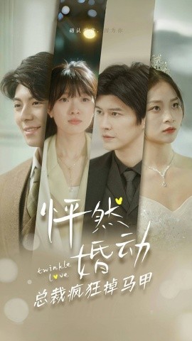 怦然婚动总裁疯狂掉马甲 (2024) - 雷宸资源库|雷宸资源库