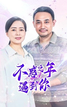 不惑之年遇到你 (2024) - 雷宸资源库|雷宸资源库