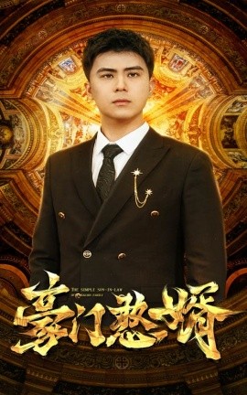 豪门憨婿 (2024) - 雷宸资源库|雷宸资源库