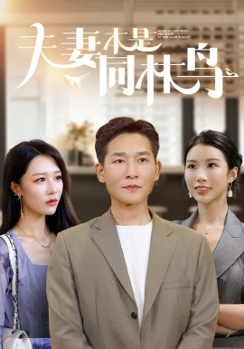 夫妻本是同林鸟 (2024) - 雷宸资源库|雷宸资源库