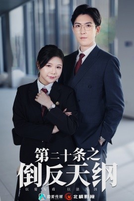 第二十条之倒反天纲 (2024) - 雷宸资源库|雷宸资源库