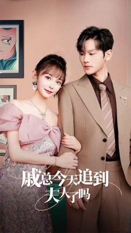 戚总今天追到夫人了吗 (2024) - 雷宸资源库|雷宸资源库