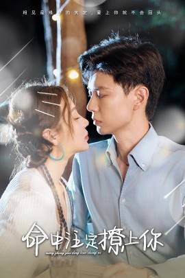 命中注定撩上你 (2024) - 雷宸资源库|雷宸资源库