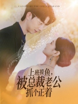 上班摸鱼被总裁老公抓个正着 (2024)|雷宸资源库