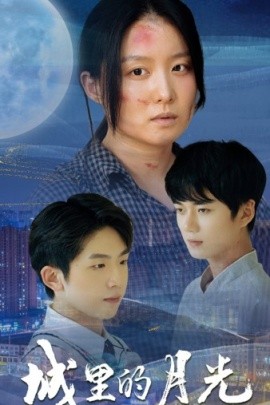 城里的月光 (2024) - 雷宸资源库|雷宸资源库
