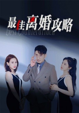 最佳离婚攻略 (2024) - 雷宸资源库|雷宸资源库