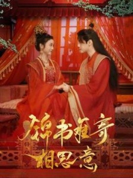 锦书难寄相思意 (2024)|雷宸资源库
