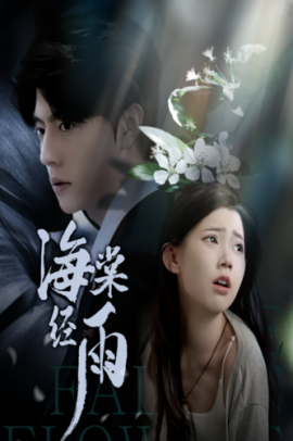 海棠经雨 (2024)|雷宸资源库