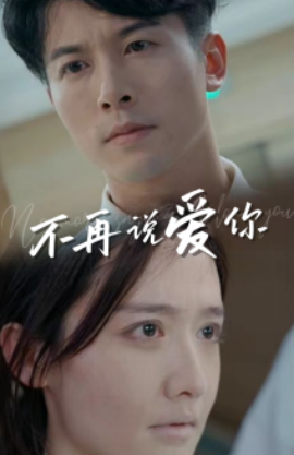 不再说爱你 (2024) - 雷宸资源库|雷宸资源库
