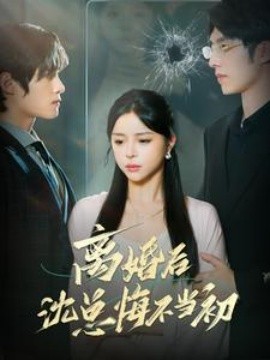 离婚后沈总悔不当初 (2024) - 雷宸资源库|雷宸资源库