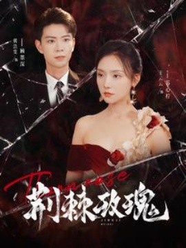 荆棘玫瑰 (2024) - 雷宸资源库|雷宸资源库